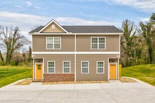 312 Bogle St in Maryville, TN - Building Photo