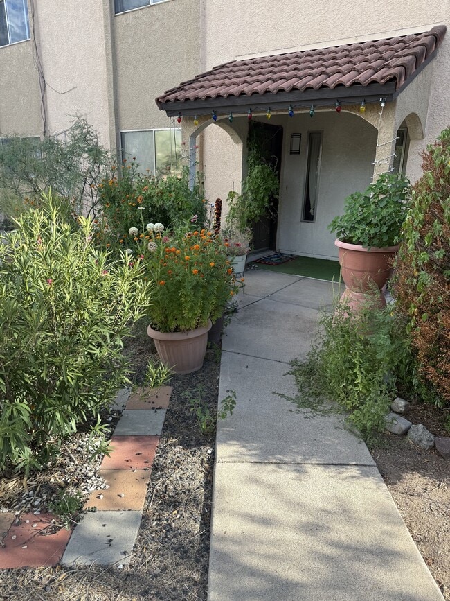 property at 433 Avenida Garza