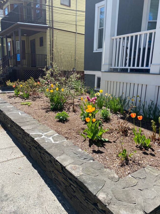 96 Rogers Ave Apartments and Nearby Somerville Apartments For Rent