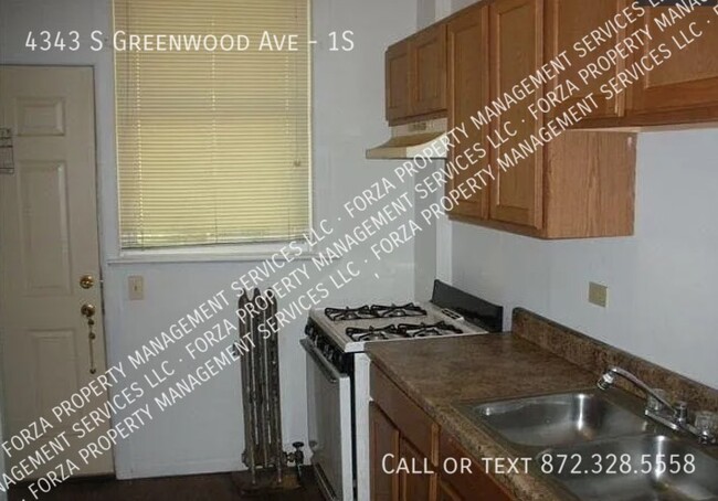 4343 S Greenwood Ave-Unit -1S in Chicago, IL - Building Photo - Building Photo