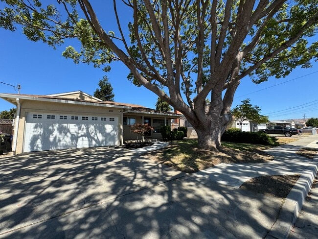 4773 Granado Ave in Fremont, CA - Building Photo - Building Photo