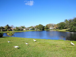 13953 Geranium Pl in Wellington, FL - Building Photo - Building Photo