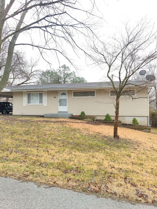 60 Bascom Dr in St. Louis, MO - Building Photo