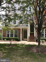 316 Cross Green St, Unit 316A in Gaithersburg, MD - Building Photo