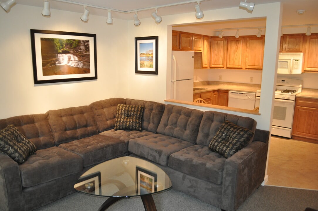 203 Williams St, Unit 6 in Ithaca, NY - Foto de edificio