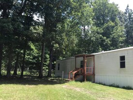 160 Private Rd 6789 in Colmesneil, TX - Building Photo