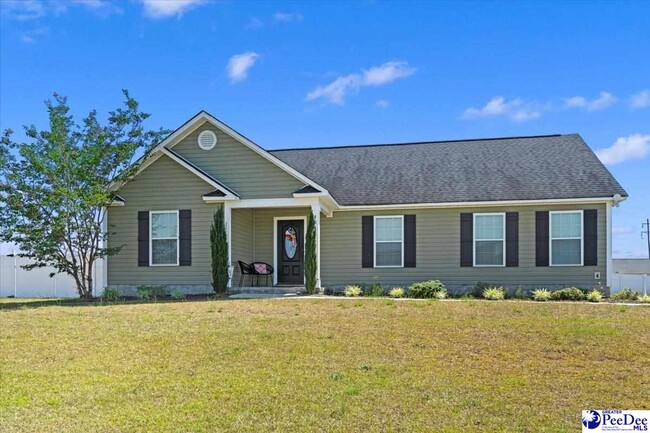 4848 Lullwater Dr in Darlington, SC - Building Photo - Building Photo