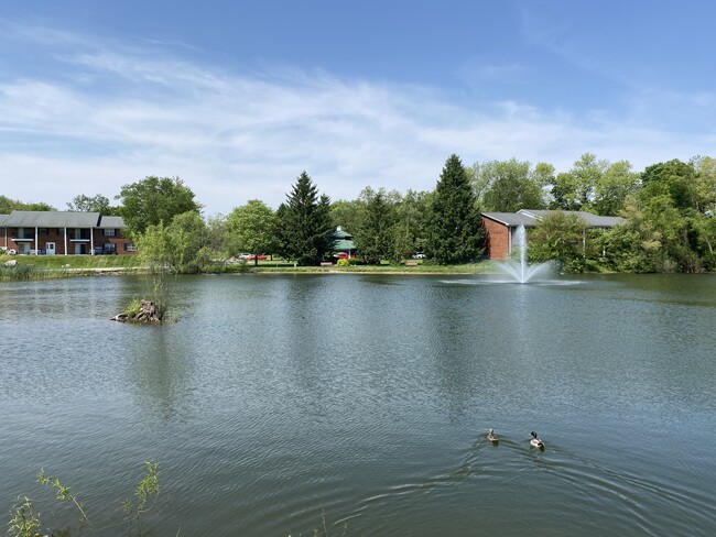 Colonial Crest Apartments photo'