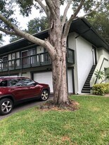 2922 Lichen Ln in Clearwater, FL - Building Photo