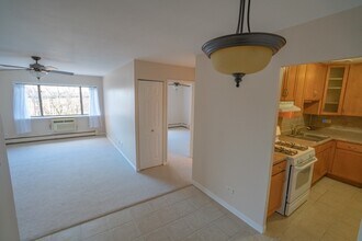 3620 N Pine Grove Ave in Chicago, IL - Building Photo - Building Photo