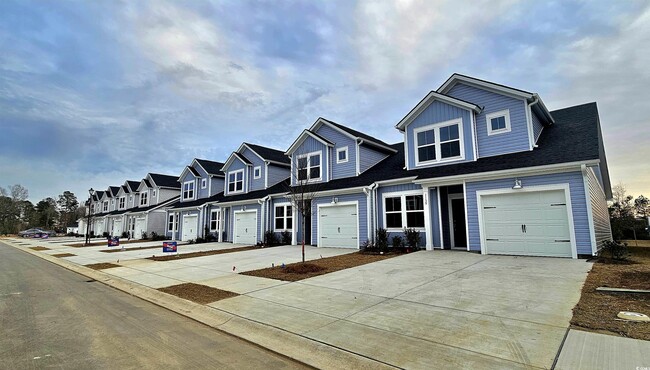 property at 1139 Blueback Herring Wy