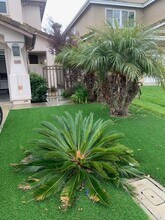 12481 Cavallo St in San Diego, CA - Building Photo - Building Photo