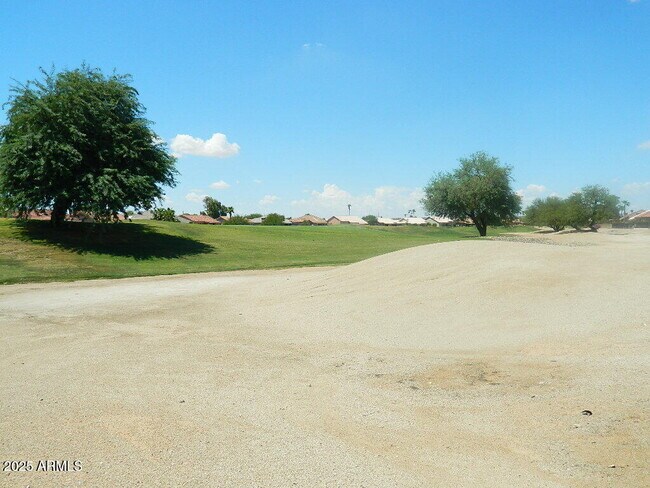 21413 N 159th Dr in Sun City West, AZ - Building Photo - Building Photo