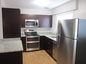 523 W Miner St in Arlington Heights, IL - Building Photo