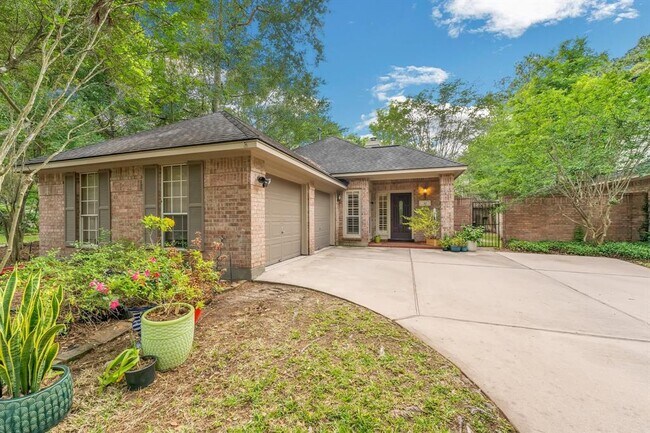30 Vista Cove Cir in Spring, TX - Building Photo - Building Photo