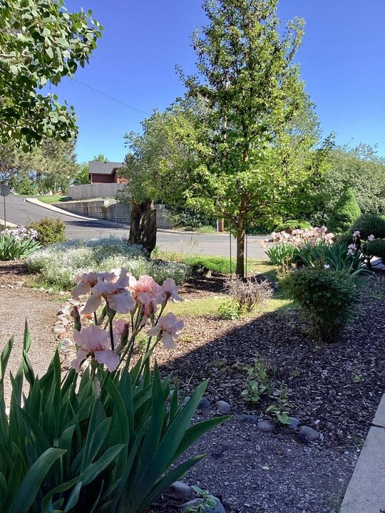 2462 Hawkins St in Klamath Falls, OR - Foto de edificio