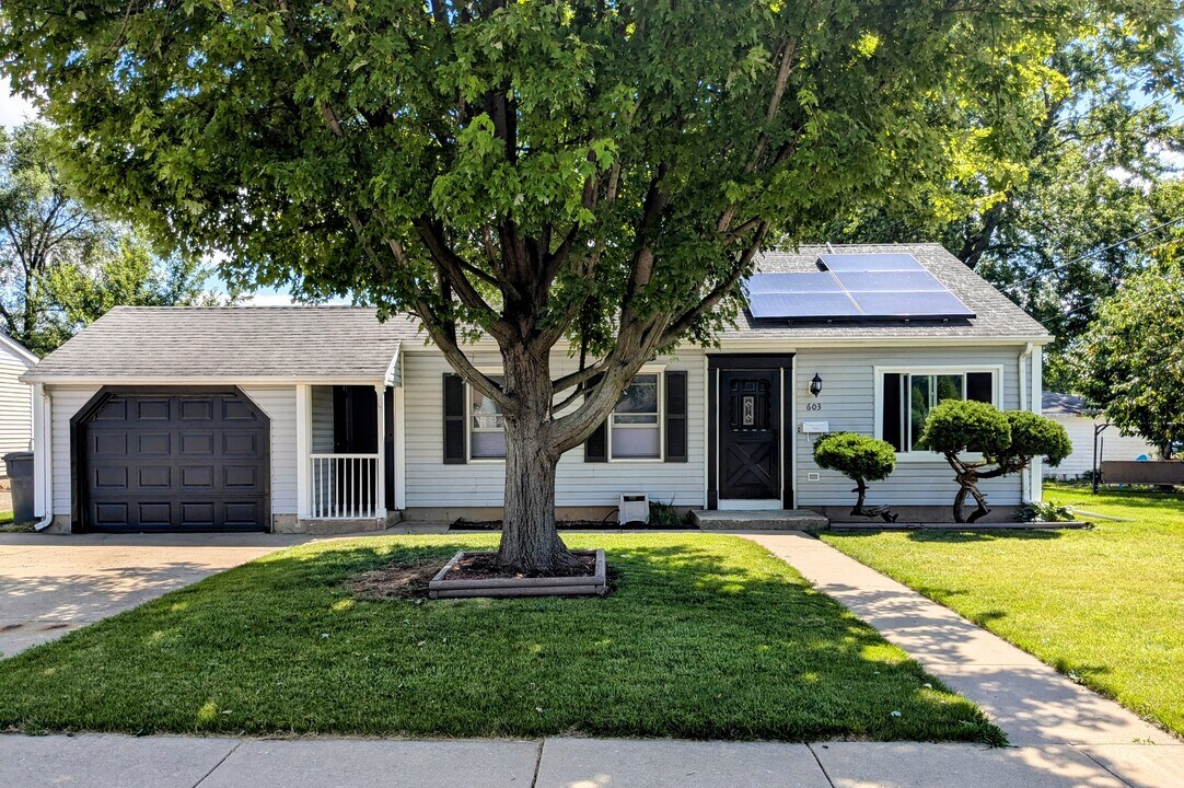 603 Kingston Dr in Romeoville, IL - Foto de edificio