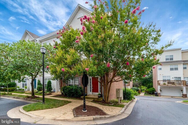 3814 Dominion Mill Dr in Alexandria, VA - Building Photo - Building Photo