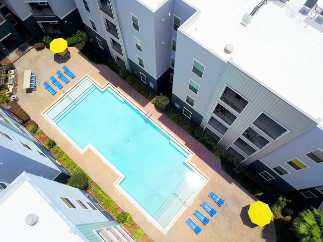 Venue at North Campus in Tampa, FL - Foto de edificio - Building Photo