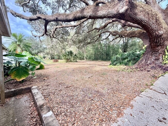 6100 Windmill Rd in Leesburg, FL - Building Photo - Building Photo