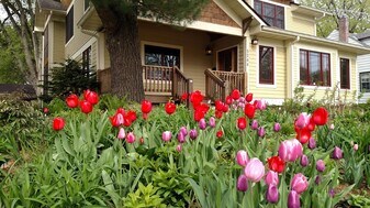 5244 41st Ave S in Minneapolis, MN - Building Photo