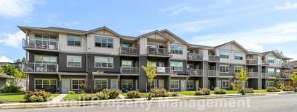 Prince Avenue Apartments in Bellingham, WA - Building Photo - Building Photo