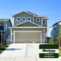 8274 Talc Dr in Colorado Springs, CO - Building Photo