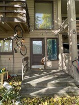 271 Gothic Rd in Mt Crested Butte, CO - Building Photo