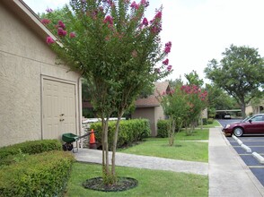 The Hills of Kerrville in Kerrville, TX - Foto de edificio - Building Photo