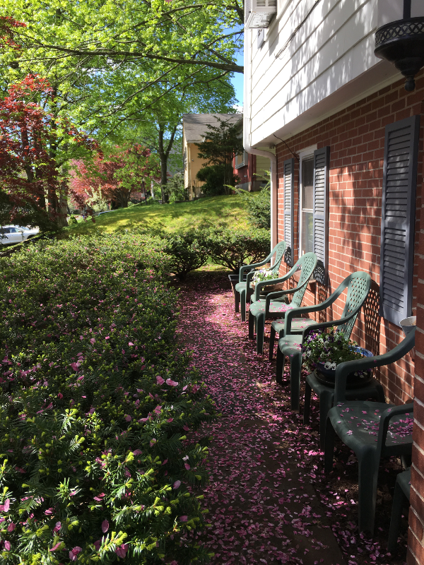 61 Kirkwood Rd in West Hartford, CT - Building Photo - Building Photo
