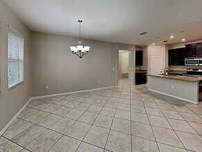 14079 Tropical Kingbird Way in Riverview, FL - Building Photo - Building Photo