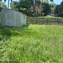 536 Blairmore Blvd W in Orange Park, FL - Building Photo - Building Photo