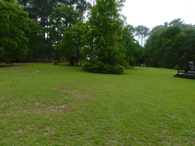 1505A Englewood Rd in Elgin, SC - Building Photo - Building Photo