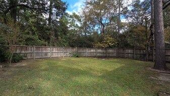 54 Thorn Berry Pl in Spring, TX - Building Photo