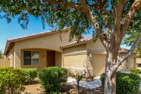 11729 W Caribbean Ln in El Mirage, AZ - Foto de edificio - Building Photo