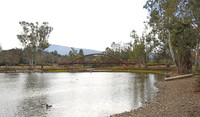 Outer Campbell Los Gatos