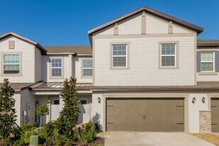 2123 Cerulean Sky Dr in Lutz, FL - Building Photo