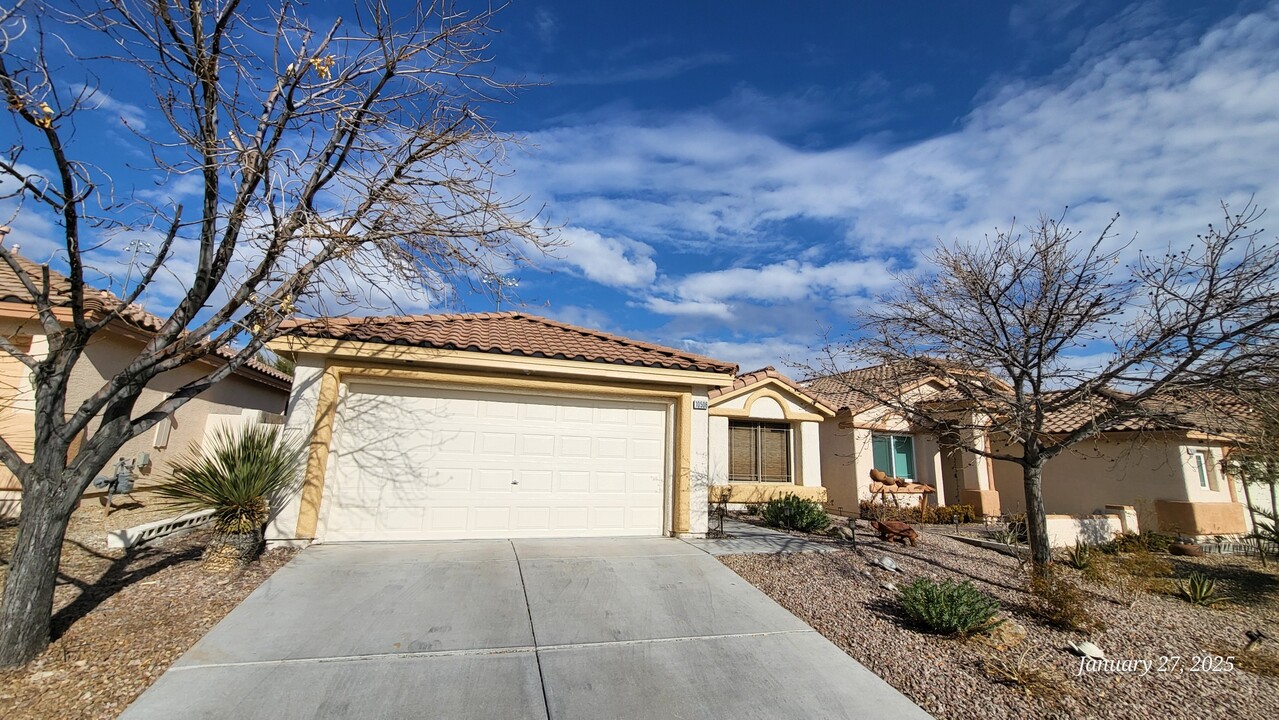 10508 American Falls Ln in Las Vegas, NV - Building Photo