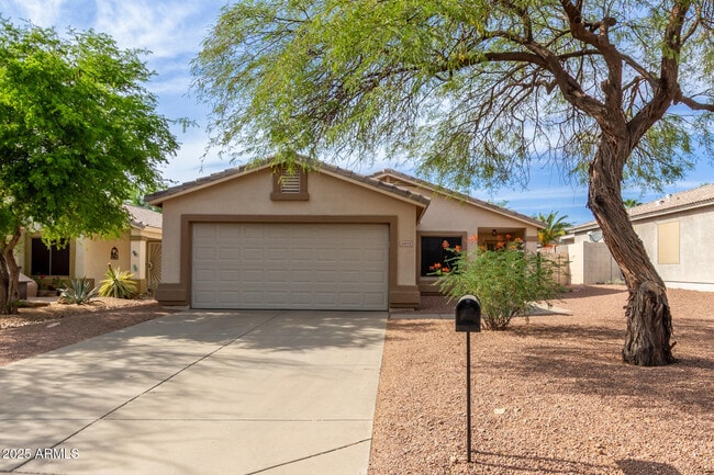 6932 S Russet Sky Way in Gold Canyon, AZ - Building Photo - Building Photo