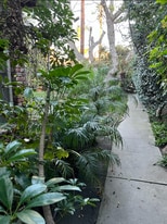 5115 Coldwater Canyon Ave, Unit 4 in Sherman Oaks, CA - Building Photo