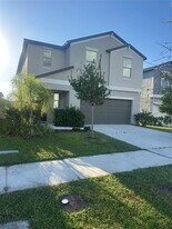 5254 White Chicory Dr in Apollo Beach, FL - Building Photo