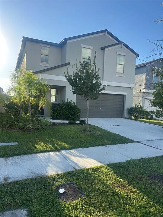 5254 White Chicory Dr in Apollo Beach, FL - Building Photo