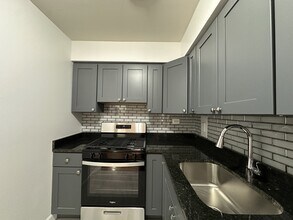 1523 W Morse Ave, Unit 3 in Chicago, IL - Building Photo - Building Photo