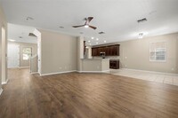 7244 Bridgeview Dr in Wesley Chapel, FL - Building Photo - Building Photo