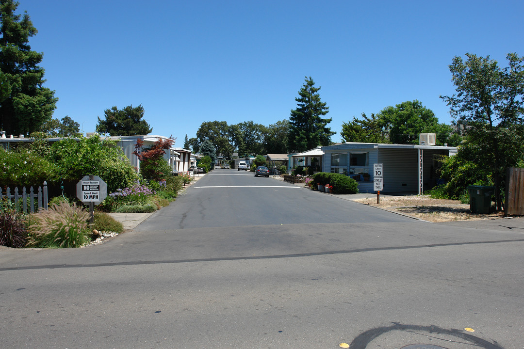 515 College Ave in Santa Rosa, CA - Building Photo