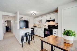 45 Mountain Vw Dr in Bristol, NH - Building Photo - Building Photo