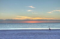 800 Boulevard of Presidents in Sarasota, FL - Foto de edificio - Building Photo