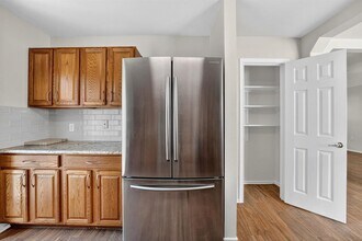 1520 Anise Dr in Austin, TX - Building Photo - Building Photo