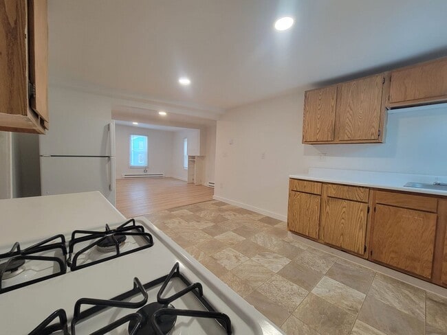 510 N Albany St in Ithaca, NY - Building Photo - Building Photo