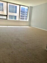 233 E Erie St in Chicago, IL - Building Photo - Building Photo